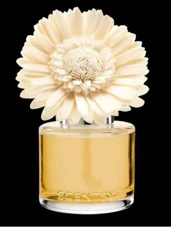 Scentsy sun-drenched Cotton Fragrance Flower NIB - Picture 1 of 2